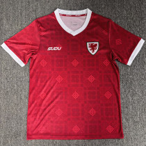 26-27 Wales Sudu Home Fans Soccer Jersey