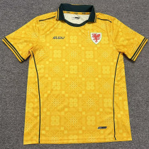 26-27 Wales Sudu Away Fans Soccer Jersey